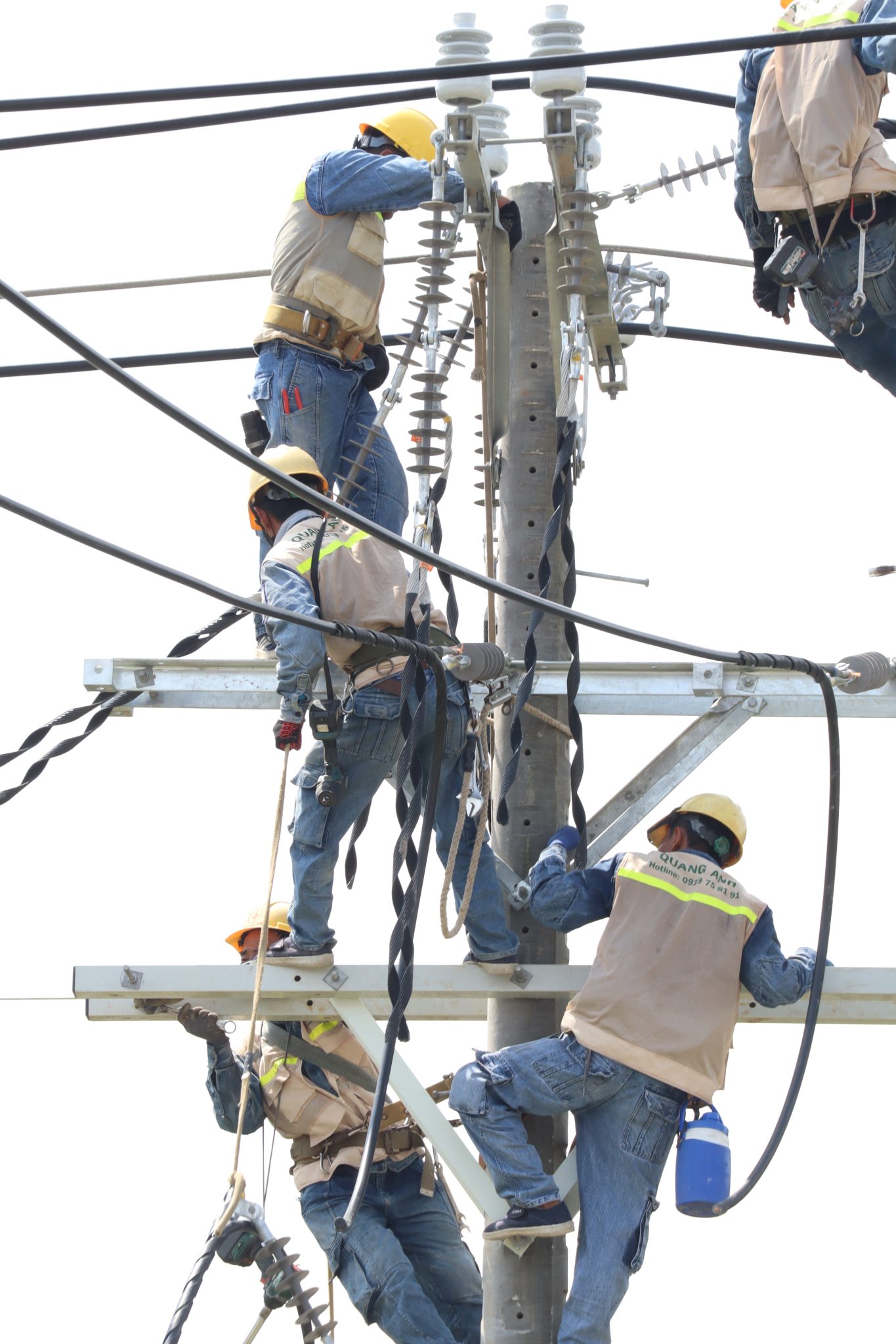 ベトナムの電機請負会社トップ10 2023-2024